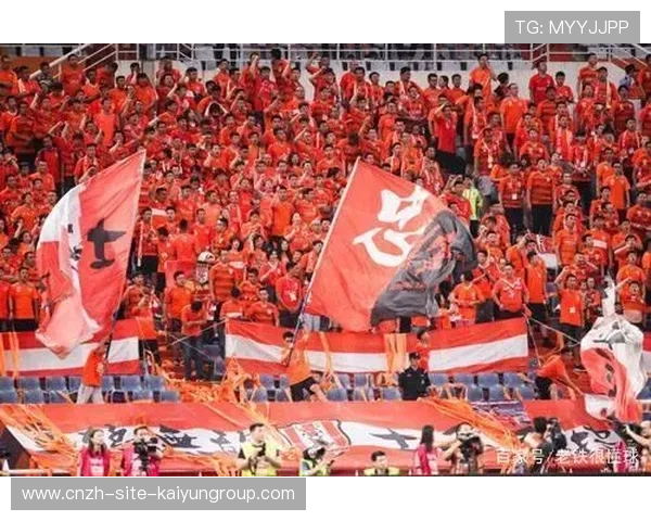 俱乐部推出会员徽章制度，球迷争抢成风